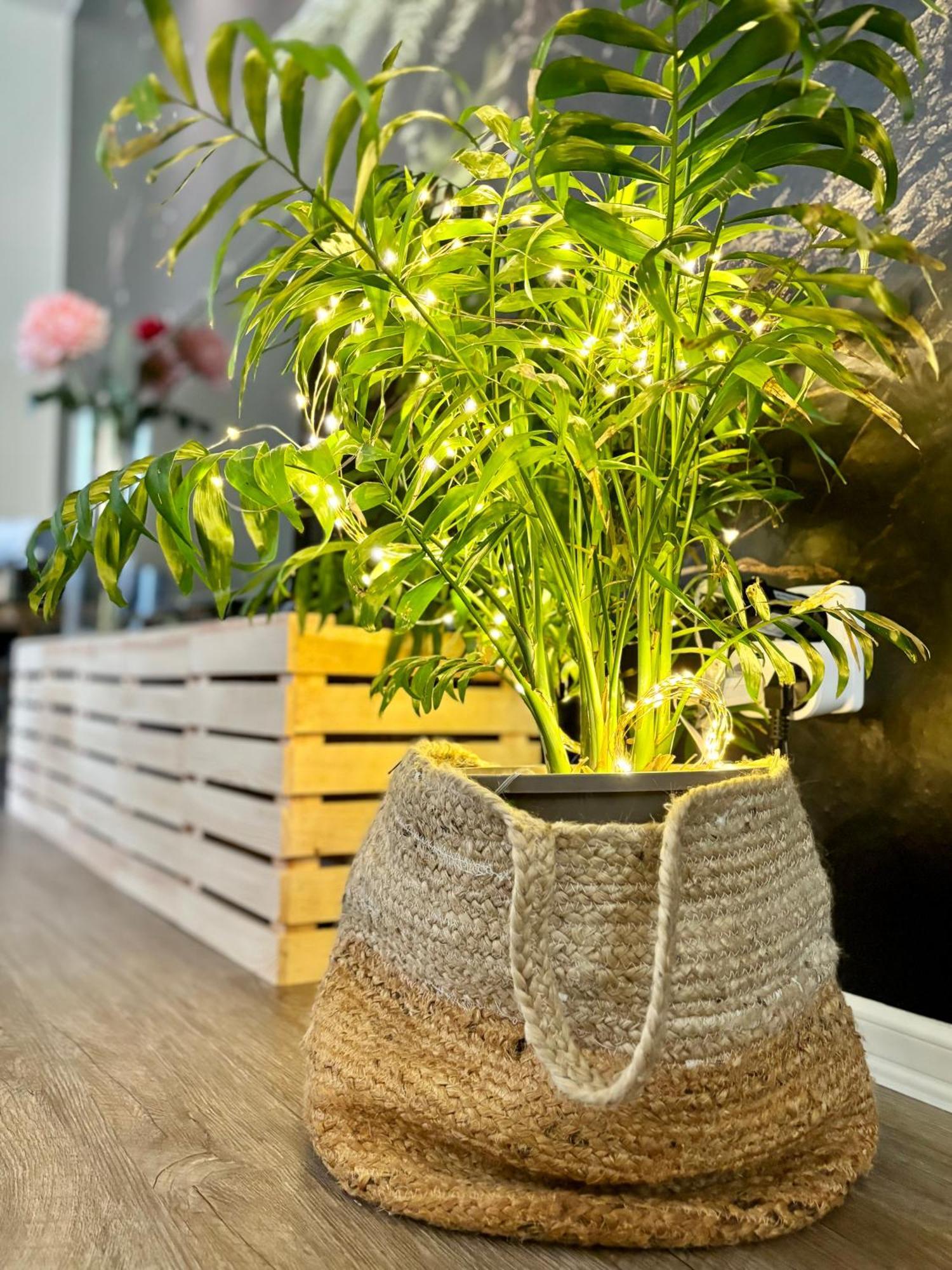 Remote Work Friendly Zahradni Apartman U Jezera 스테어스프레비 외부 사진